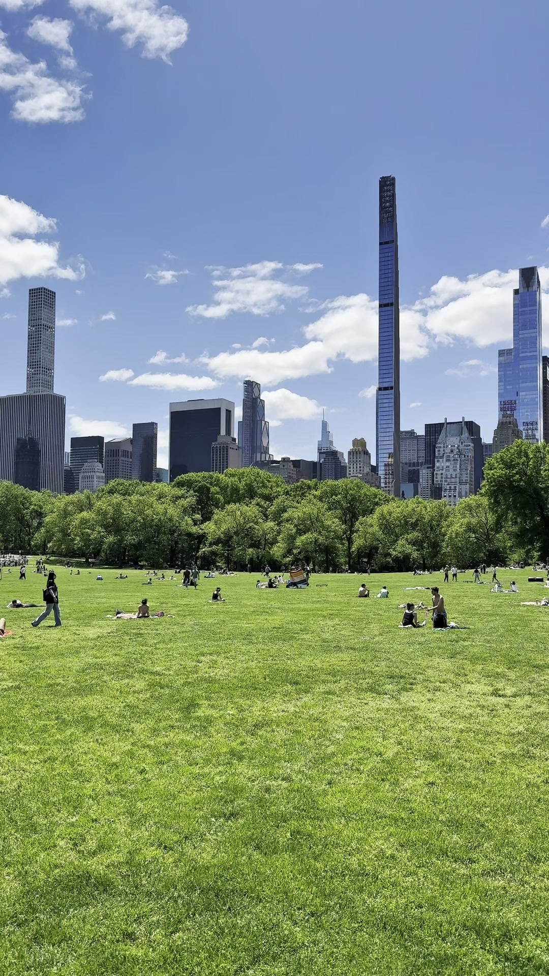 Sunny park and city skyline